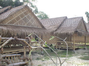 Bungalows in Ko Phi Phi