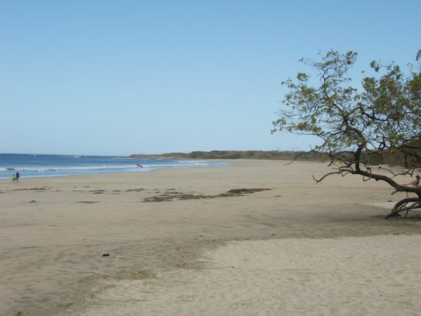 Playa Avellanas 2