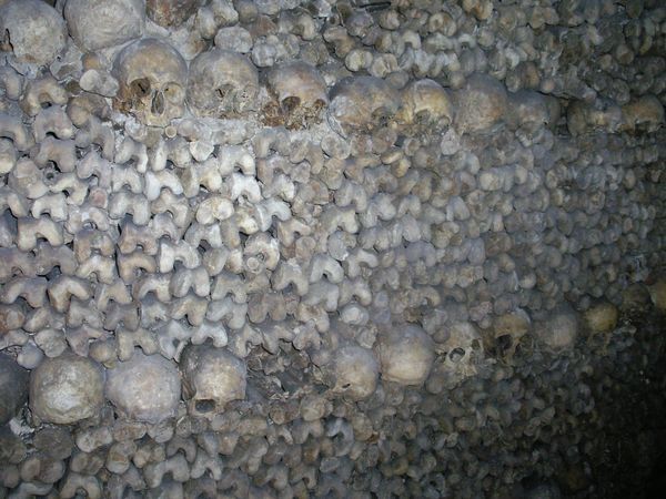 The bones in the catacombs