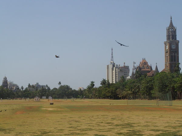 Mumbai Cricket and Colonial Buildings