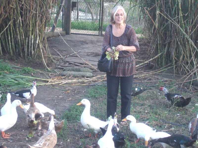 Dr Sandra feeding the ducks