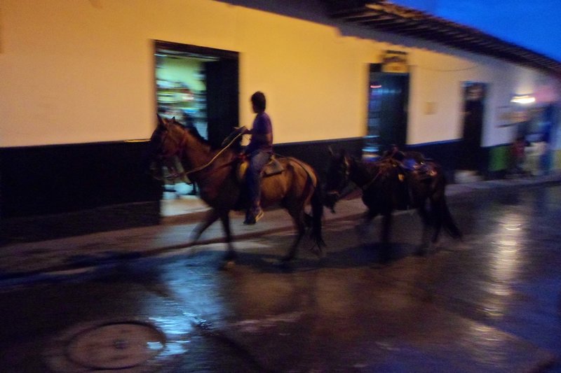 Some horseriding activities are organised for you in the village