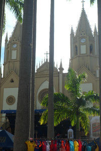 Lots of palms around the church