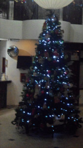 Tonchalá's Christmas tree