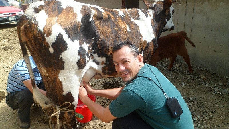 Me milking the cows