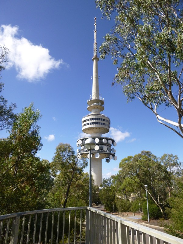 Telstra Tower on Black Mountain