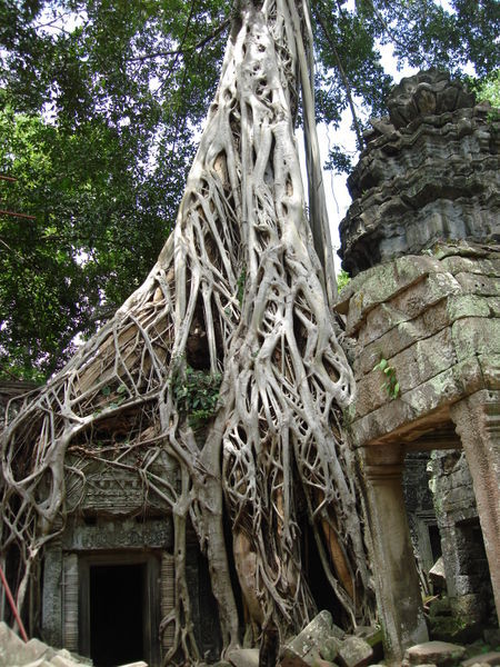 Overgrown temple