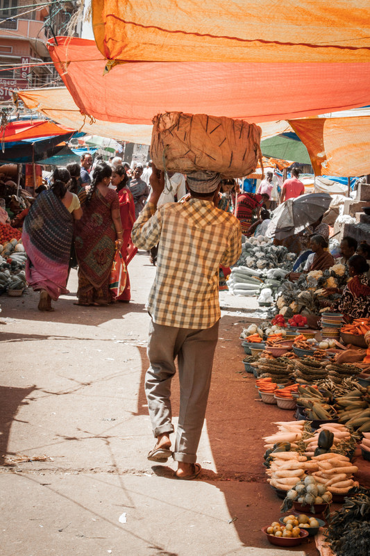 homme au panier