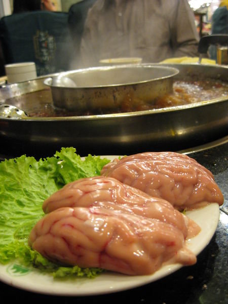 Pig brain is actually better than human brain