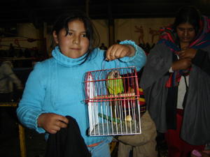 Bolivian Wrestling...is a family event - you can even bring your budgy to watch