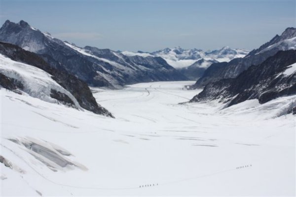 The spectacular view down the Aletsch Glacier, Jungfrau 