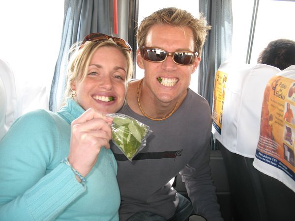 Chewing Coca leaves....nasty