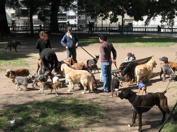 A typical dog park in BA