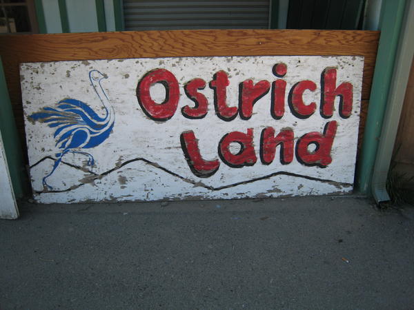 Ostrich land