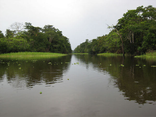 Rios Amazonas