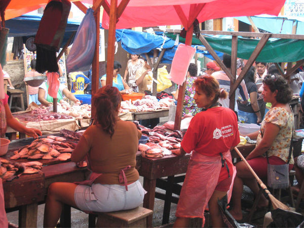Belen fish market