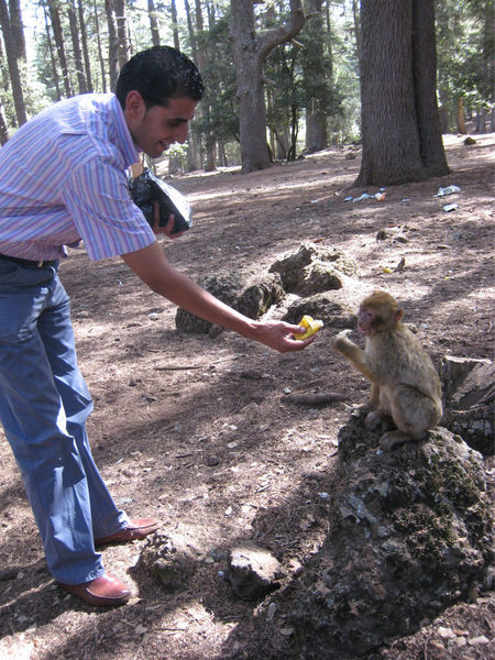 Charif feeding the monkeys
