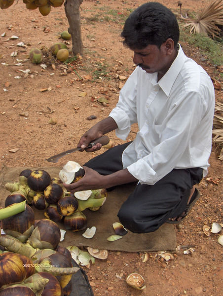 Thargoli vendor on the side of the road
