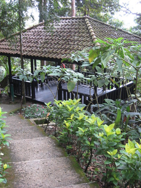 Botanical Gardens, Bukit Tingi