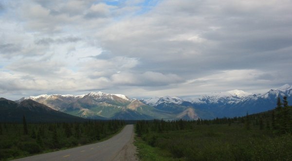 The drive from Anchorage to Denali