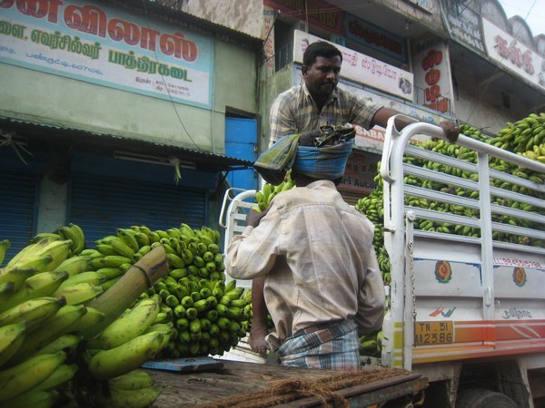 unloading bananas