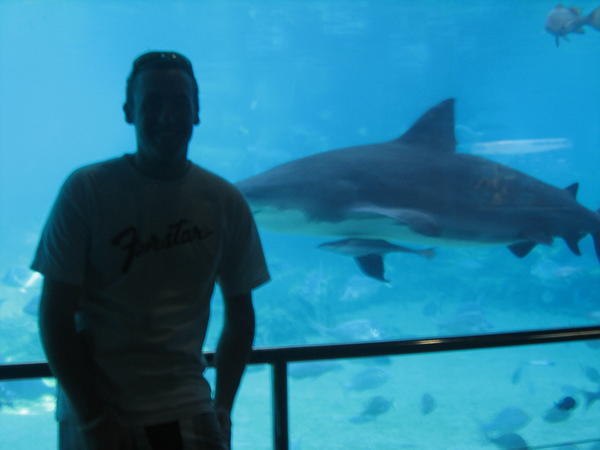 Me and a Tiger Shark