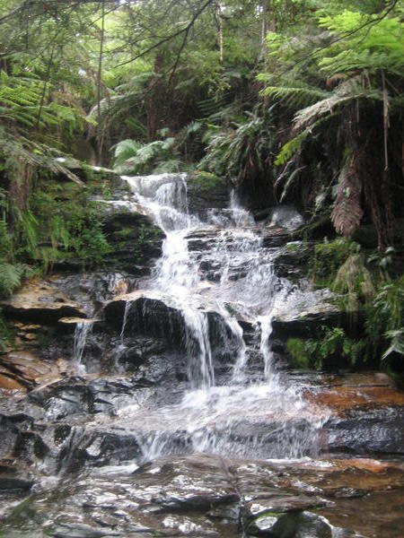 A Waterfall by The Blue Mountains