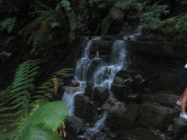 A Waterfall in the Rainforest