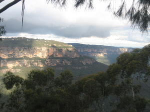 Close Up of The Blue Mountains