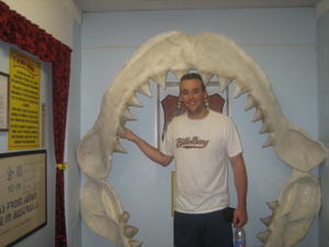 Me in the Jaws of a Shark