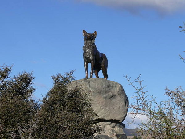 Sheepdog Statue