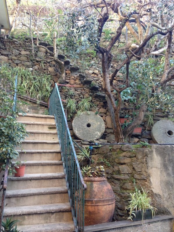 Garden with steps protruding from stone wall