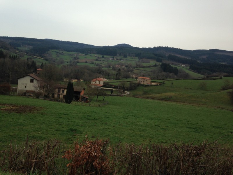 Landscape: typical countryside in Burgundy