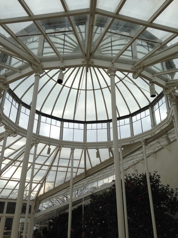 Dome roof of conservatory 