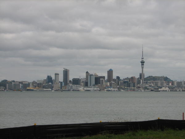 The Auckland view