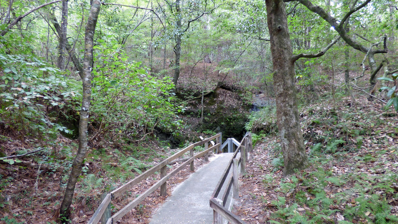 Trail to the Falls