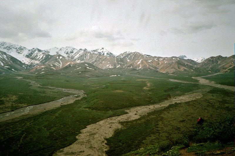 View from The Denali Park Road