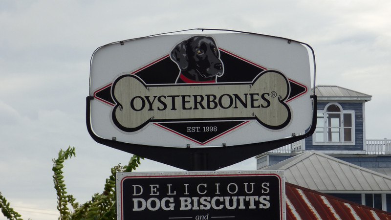 Oyster Bones