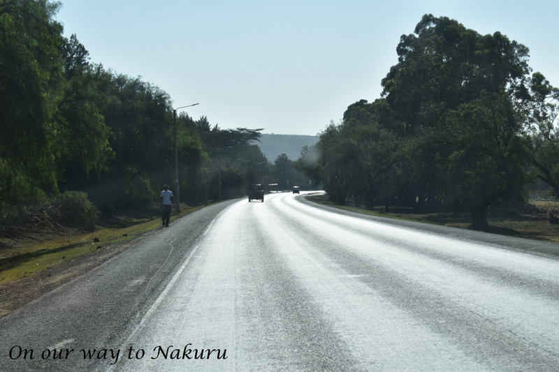On our way to Nakuru