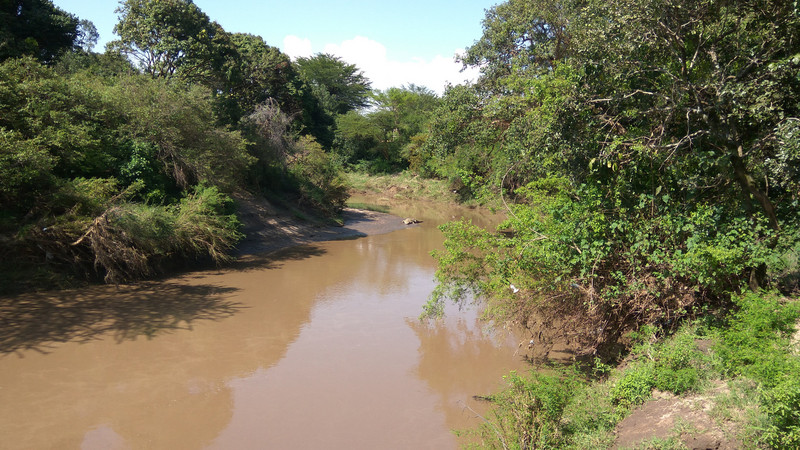 Talek River swollen after the rain