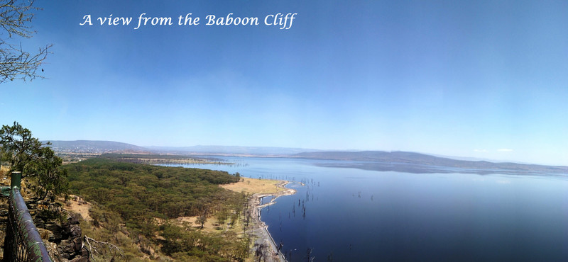 Lake Nakuru from the Baboon cliff!