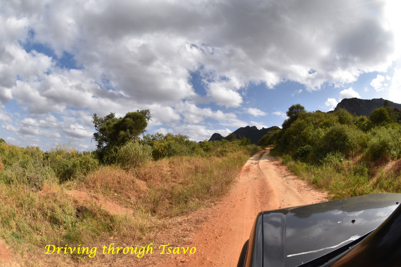 Driving through Tsavo