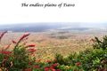 Endless plains of Tsavo