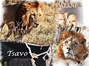 Tsavo - Ghost and the Darkness!