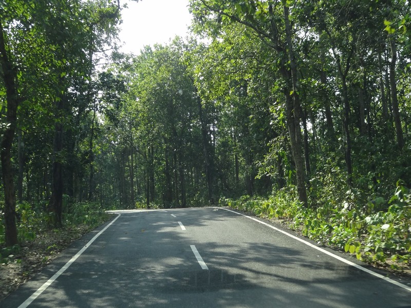 The road towards the Dassam Falls