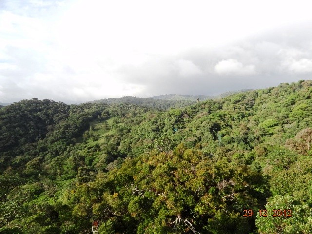 Monteverde panorama