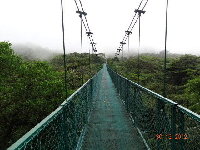 Suspension bridge in the walking trail