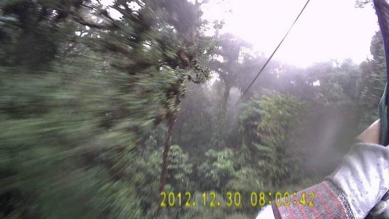 Zipping through the rain forest