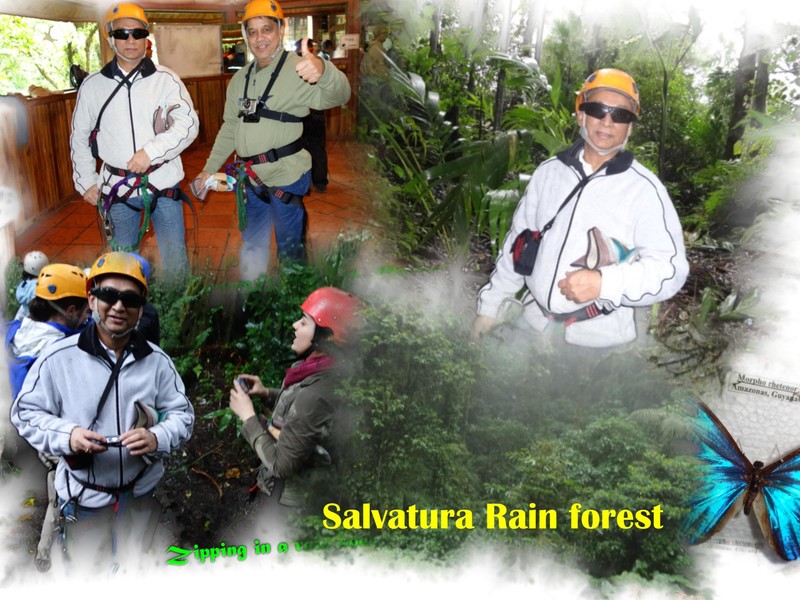 Ziplining in Salvatura Rain forest
