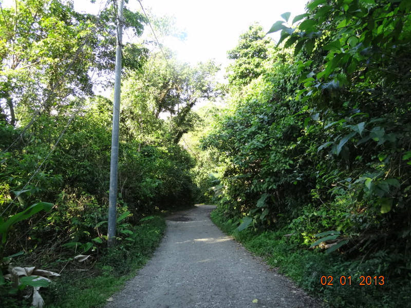Hiking path in the Park